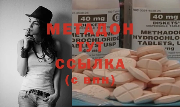 индика Вяземский