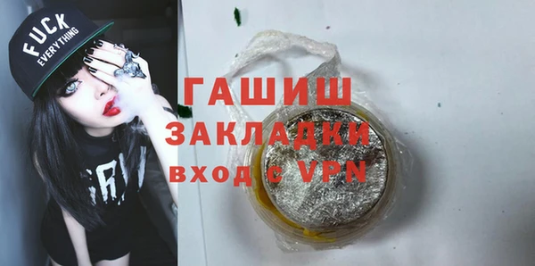 индика Вяземский
