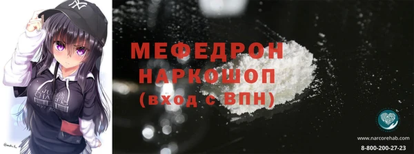 индика Вяземский
