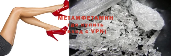 индика Вяземский