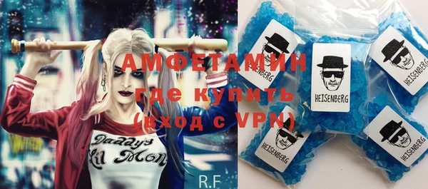 индика Вяземский