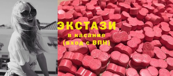 индика Вяземский