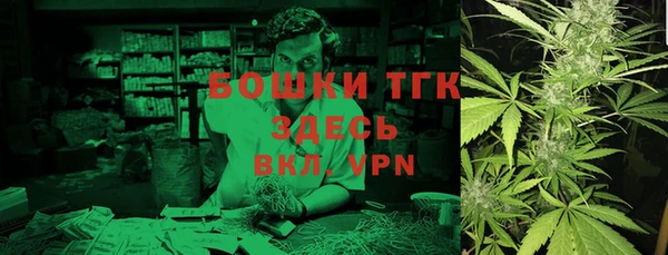 индика Вяземский
