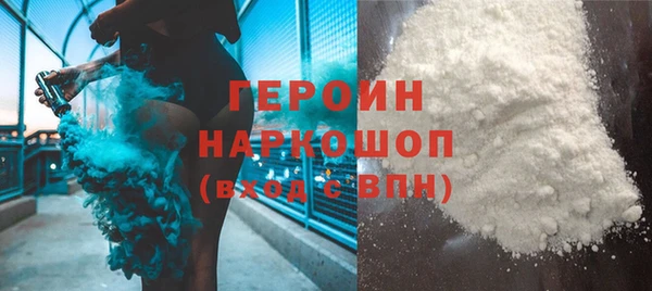 индика Вяземский