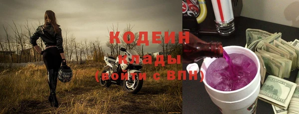 индика Вяземский
