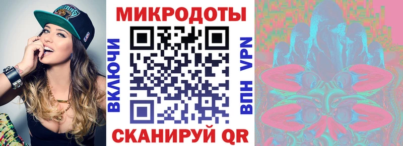 Псилоцибиновые грибы Psilocybe Задонск
