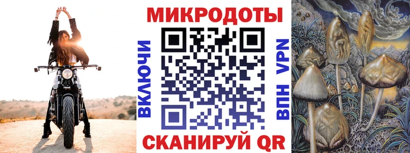 Псилоцибиновые грибы Psilocybe  Задонск 